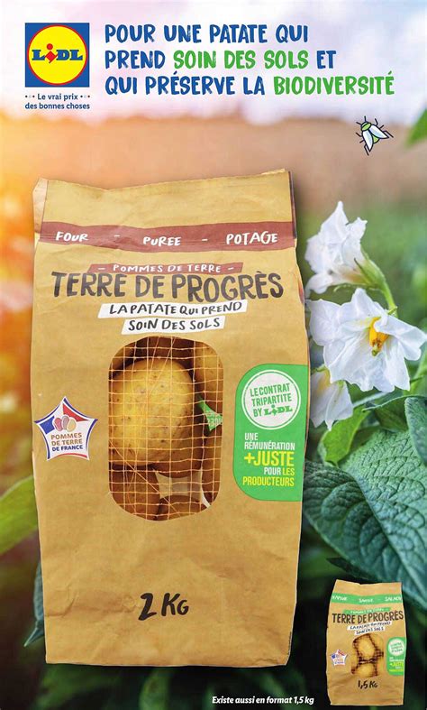 terre brune lidl|LIDL